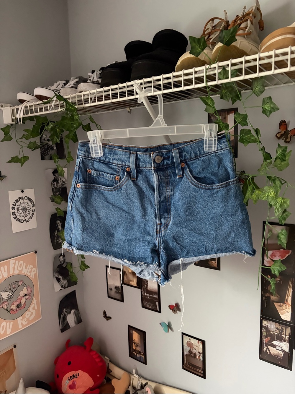 Levi’s Jean Shorts